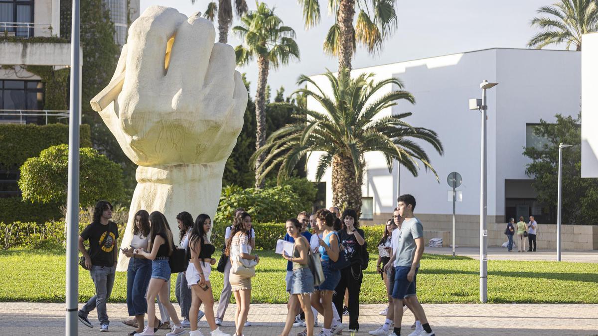 El campus de la Universidad de Alicante.