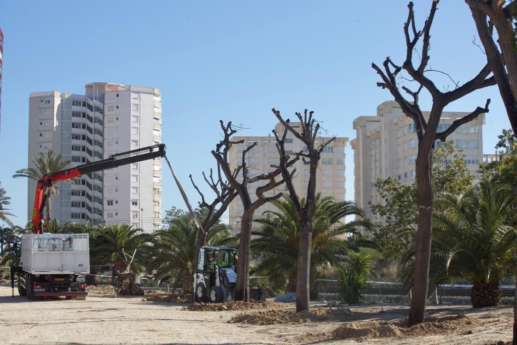 Trasladas las melias al parque Sergio Melgares