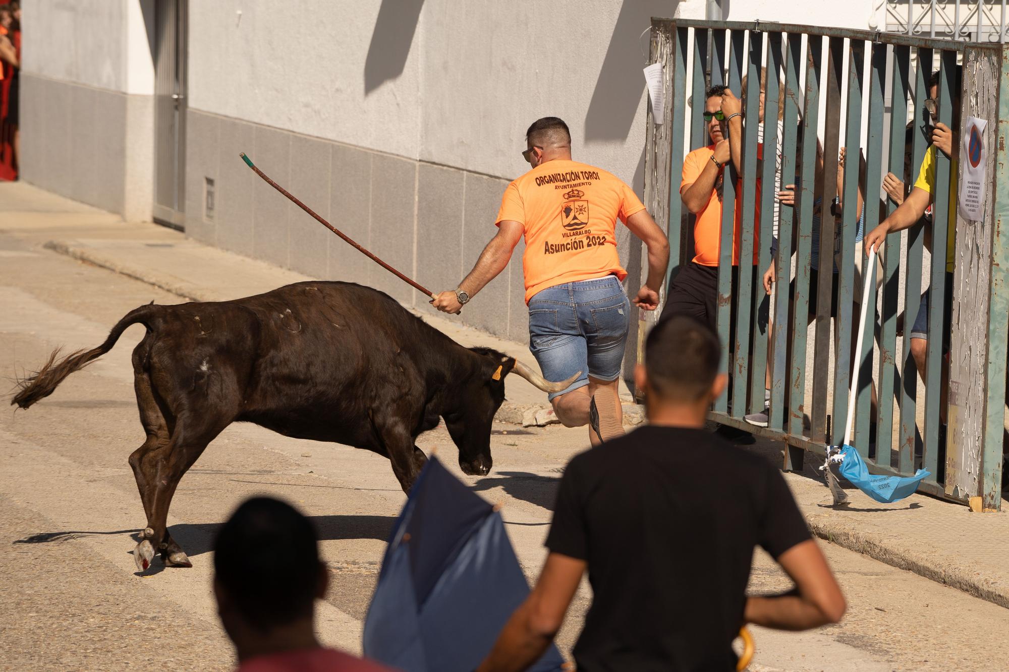 GALERIA | Encierro urbano en Villaralbo