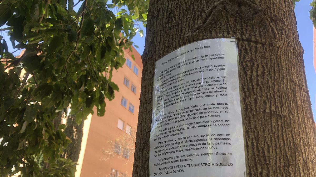 Vídeo | Un paseo por la barriada cacereña de Hispanoamérica