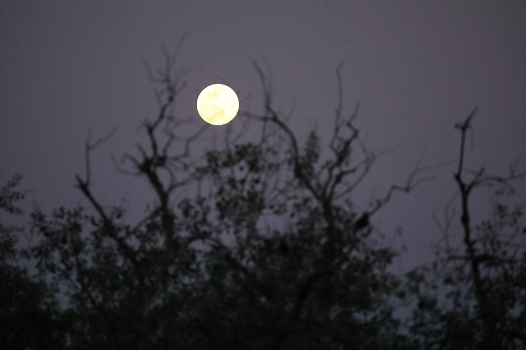 La mayor superluna del año se puede ver desde casa