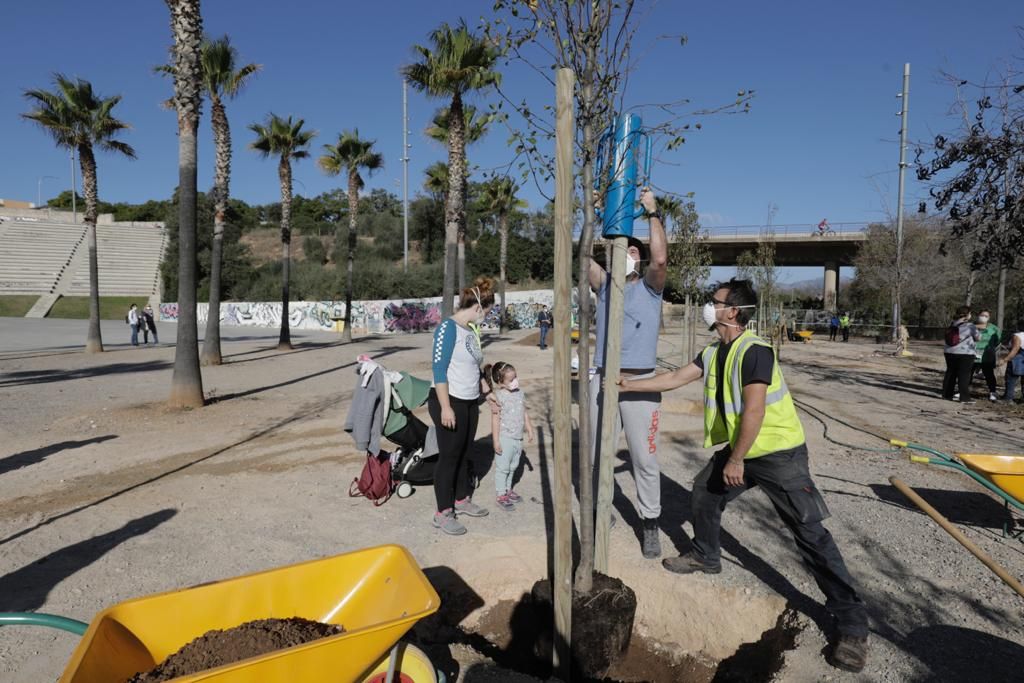 Siembra de árboles en el parque de sa Riera de Palma