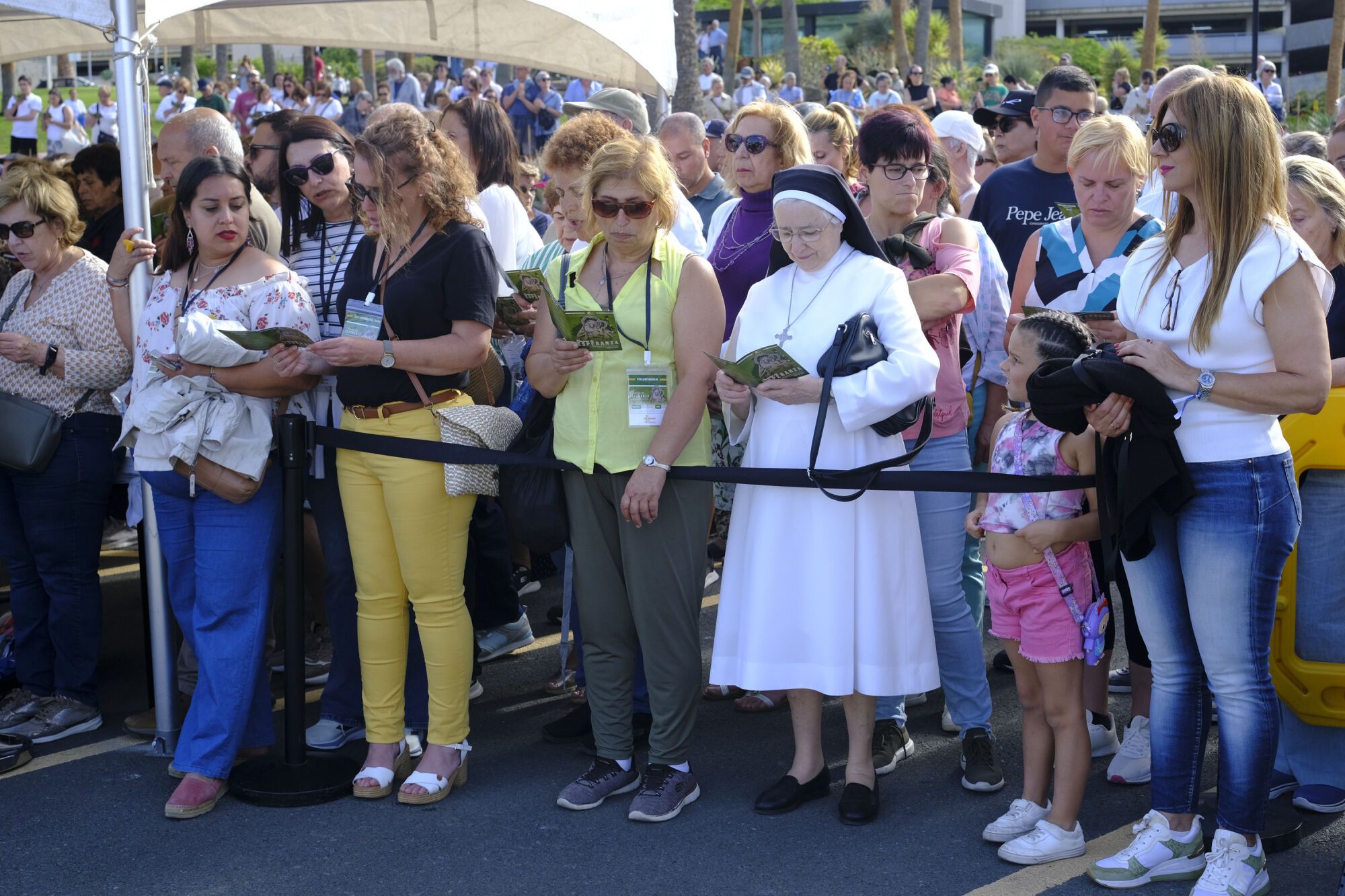 La Virgen del Pino del Materno a la Catedral