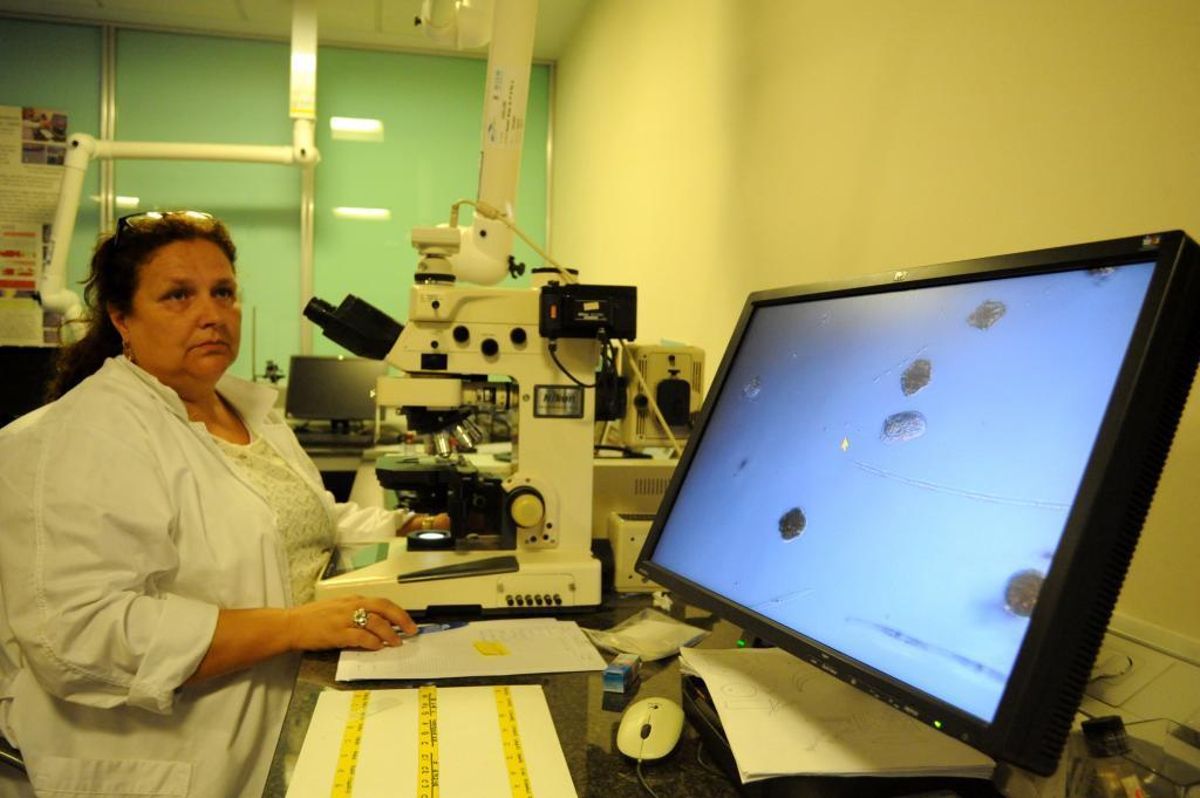 Galicia acelera el proceso de adaptación al método químico de control de biotoxinas impuesto por Europa