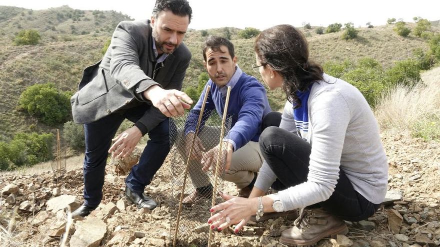 El concejal Raúl Jiménez, con uno de los plantones.