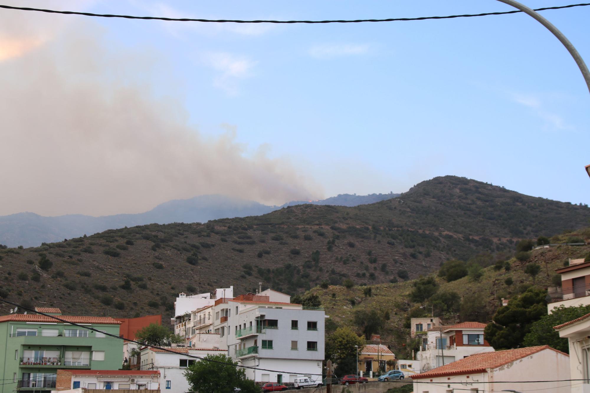 Un incendi sense control atiat per la tramuntana alerta Portbou