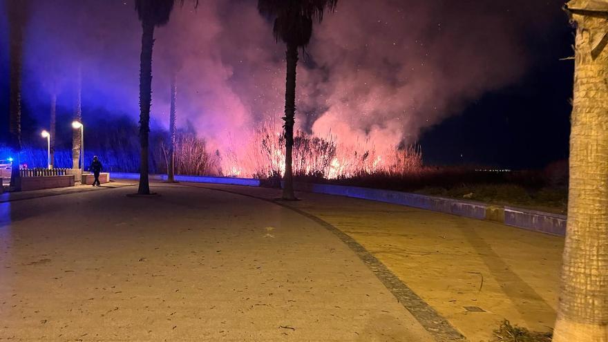 Arde un cañar de la Patacona por un petardo