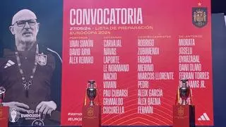 Rocha quiere a De la Fuente "más allá de los resultados" de España en la Eurocopa