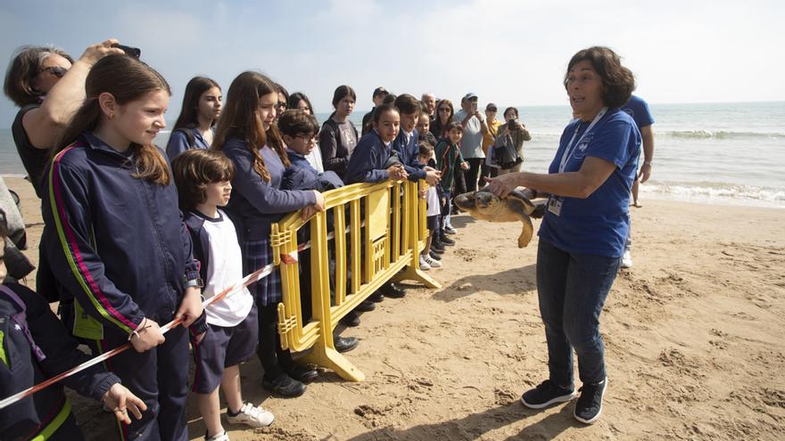 Suelta de tortugas en la playa del Port de Sagunt