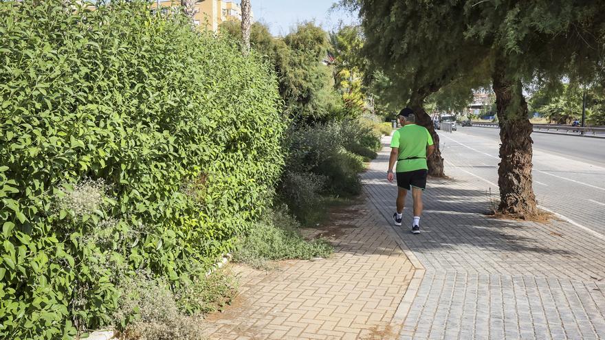 Los vecinos de Gran Vía Sur de Alicante reclaman el mantenimiento del parque Joan Fuster