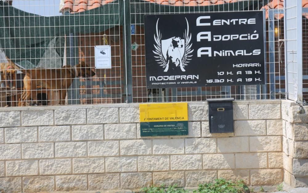 Instalaciones del refugio de animales de Benimàmet