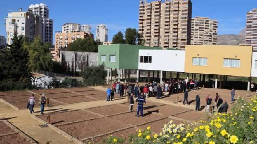 Los nuevos huertos urbanos en La Cala de Benidorm.