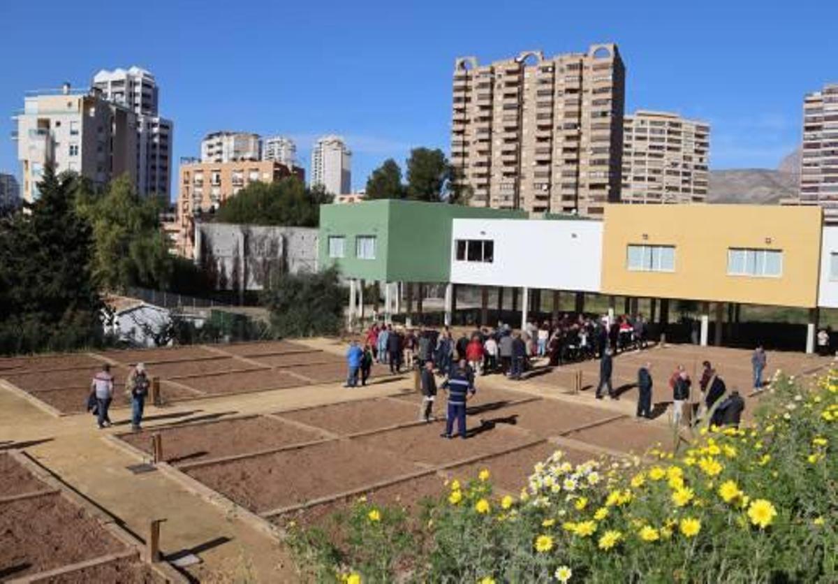Los nuevos huertos urbanos en La Cala de Benidorm.