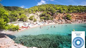 On: Saladeta és a 150 metres de cala Salada, a la qual s’arriba des de Sant Antoni seguint els cartells. Serveis: Cap. Ocupació: Mitjana.
