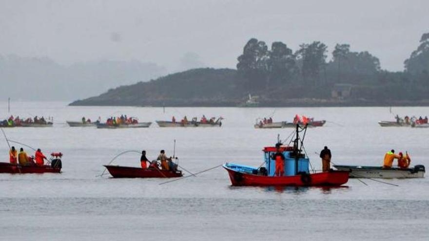 Os Lombos es el principal banco de libre marisqueo de la ría y llega a concentrar 400 embarcaciones en épocas buenas.  // Iñaki Abella