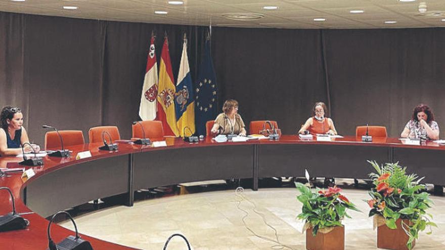 Cabildo y ayuntamientos de La Gomera coordinan nuevas acciones de juventud