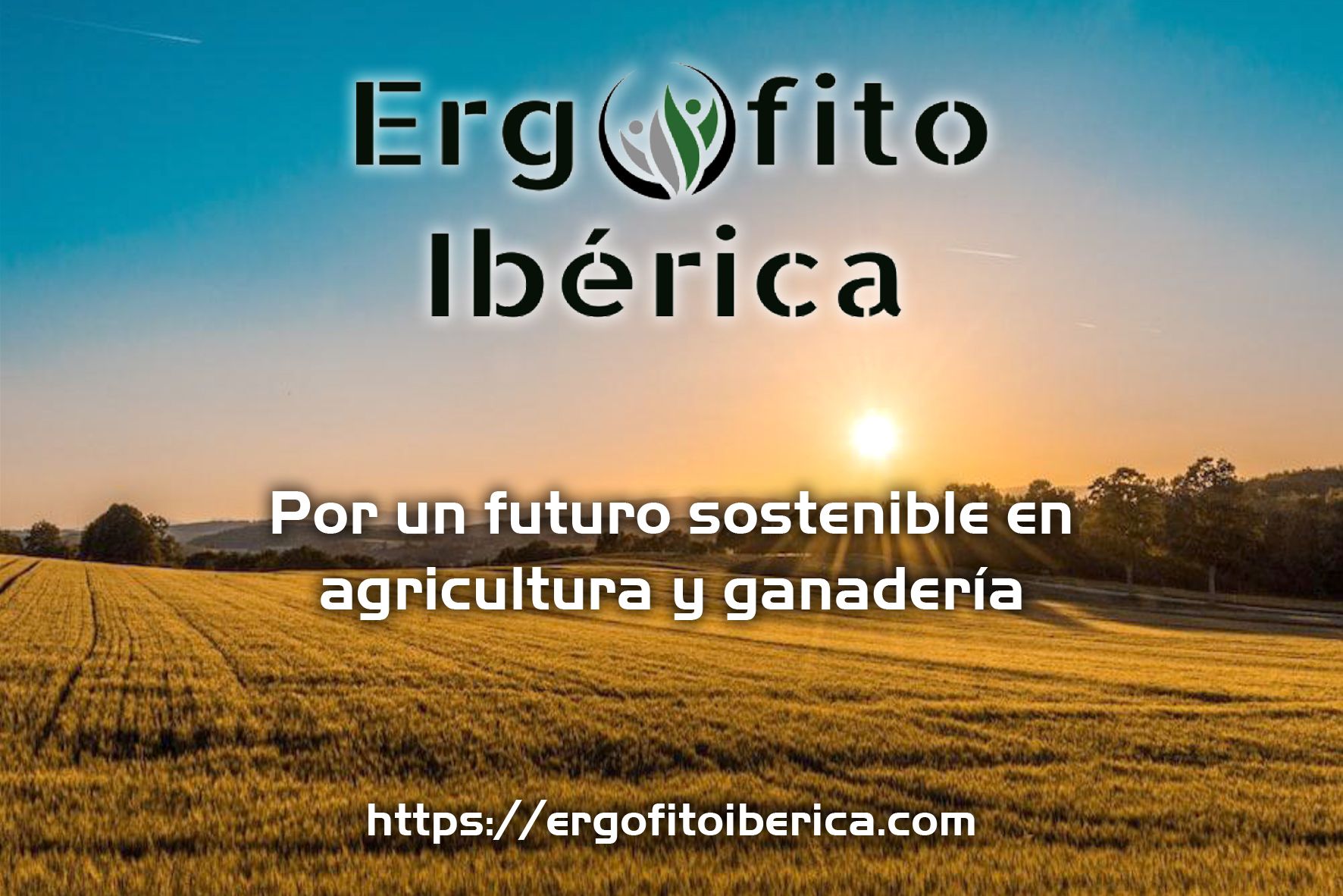 Ergofito Ibérica