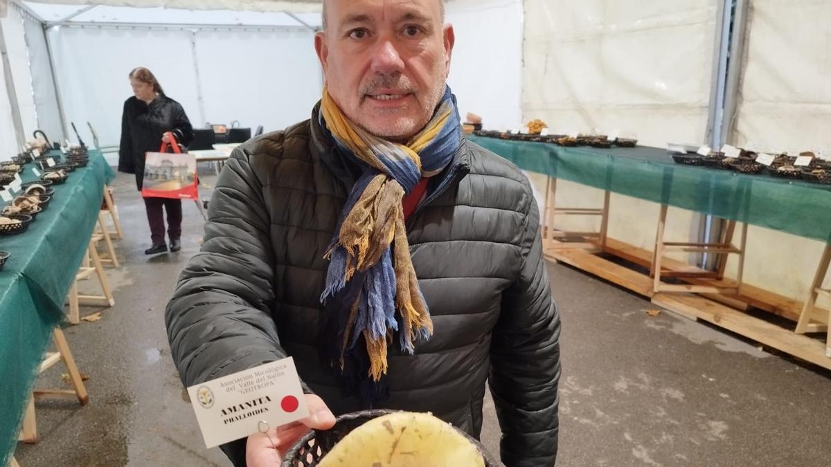 Félix García muestra un ejemplar de Amanita phalloides, una seta mortal para los humanos