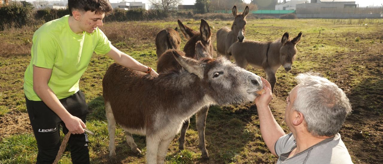 José Valbuena, con su hijo José, dando de comer a uno de los burros que tienen en una finca junto a la avenida del Jardín Botánico, ayer por la mañana.