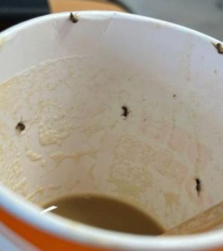 Una mujer ingresa en la UCI tras beber un café con bichos de una máquina del aeropuerto de Palma