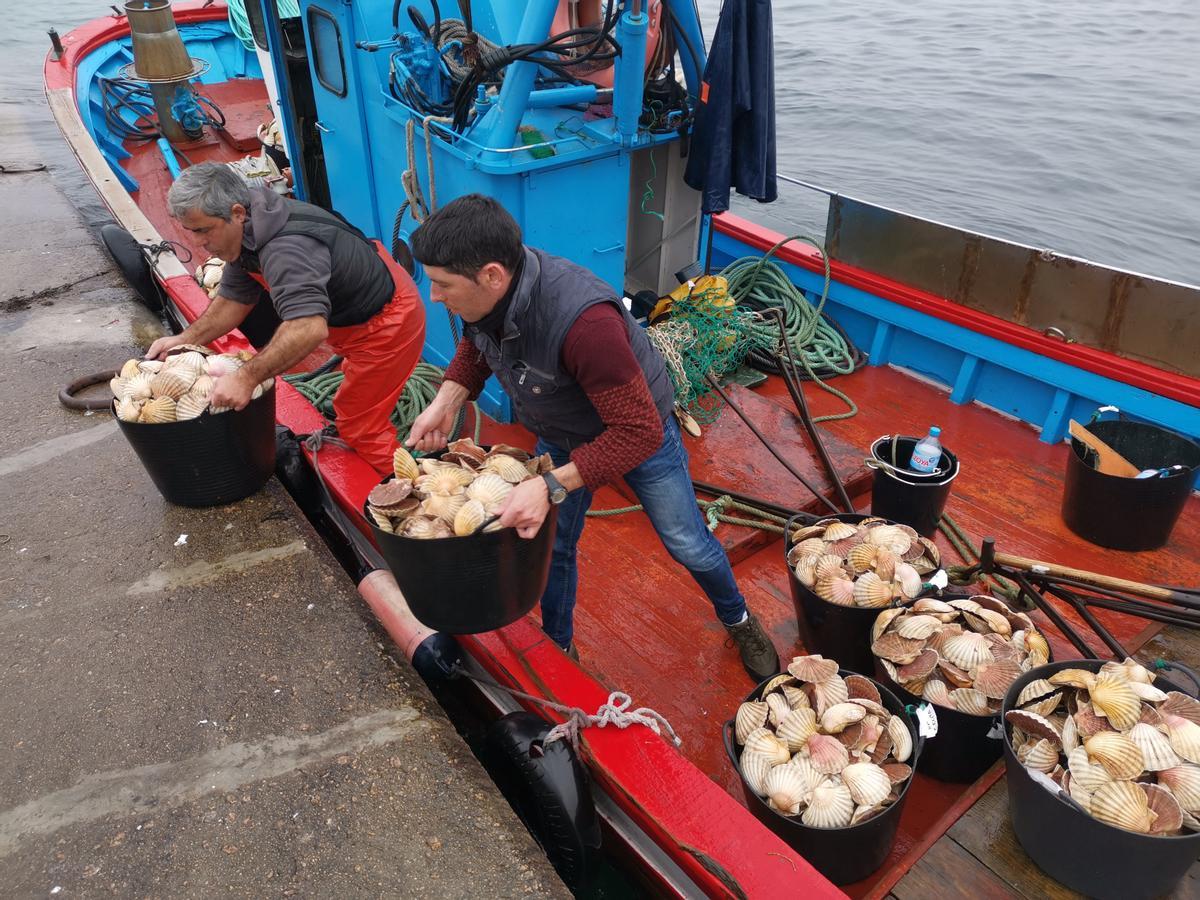 Un barco de Bueu descarga vieira a su llegada al puerto.