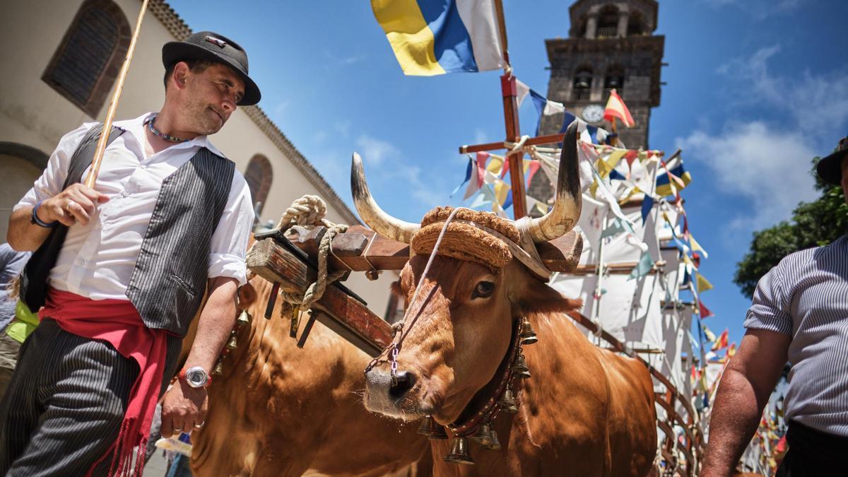 Un momento de la Romería de San Benito en 2019.