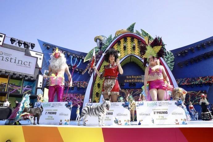 Carnaval Las Palmas 2019 | Carnaval canino