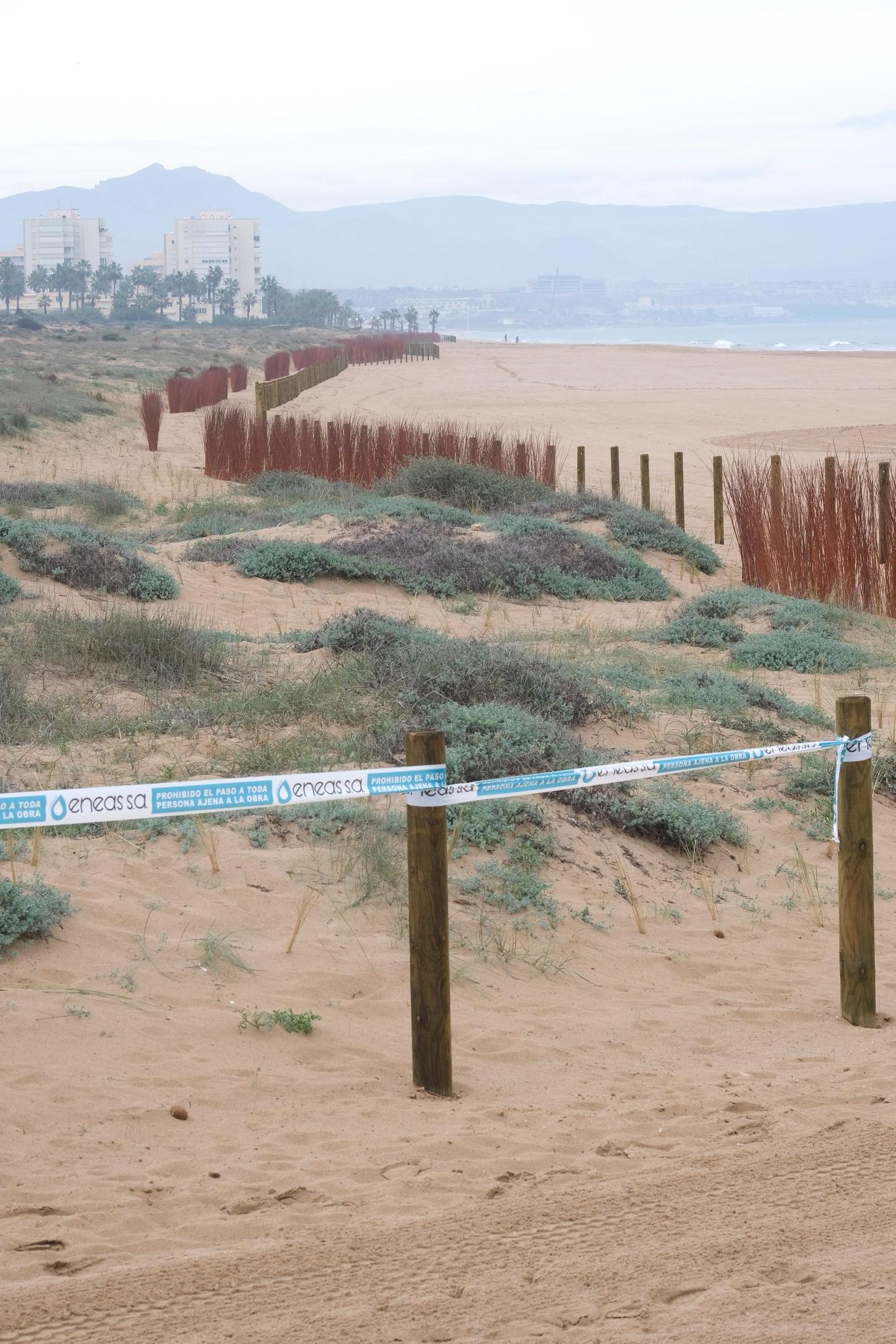 El nuevo "look" de las playas de El Altet y Arenales