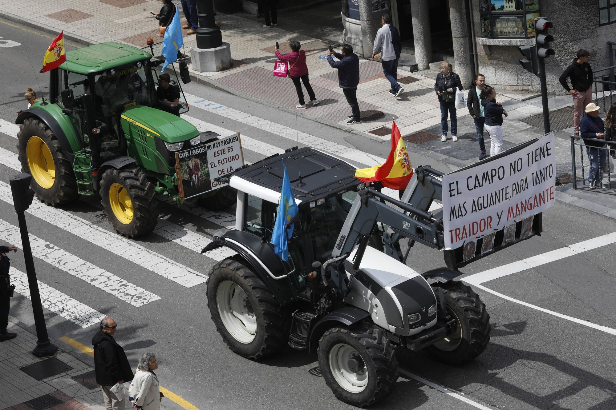 EN IMÁGENES: Así fue la tractorada de protesta del campo asturiano en Oviedo