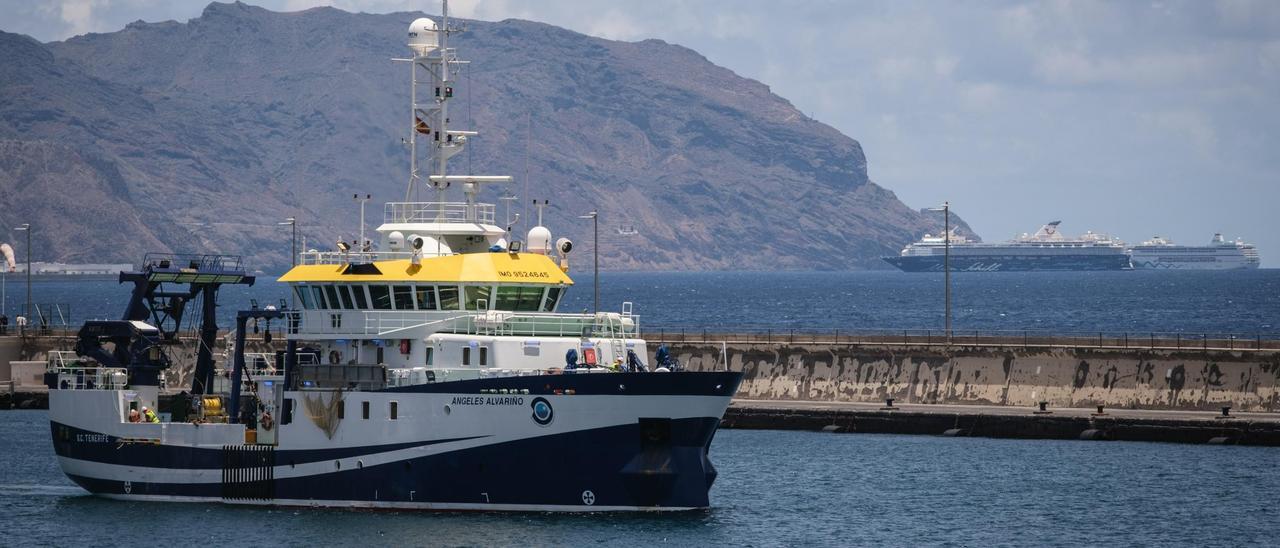 El Angeles Alvariño, durante su rastreo en Tenerife en busca de las niñas desaparecidas.