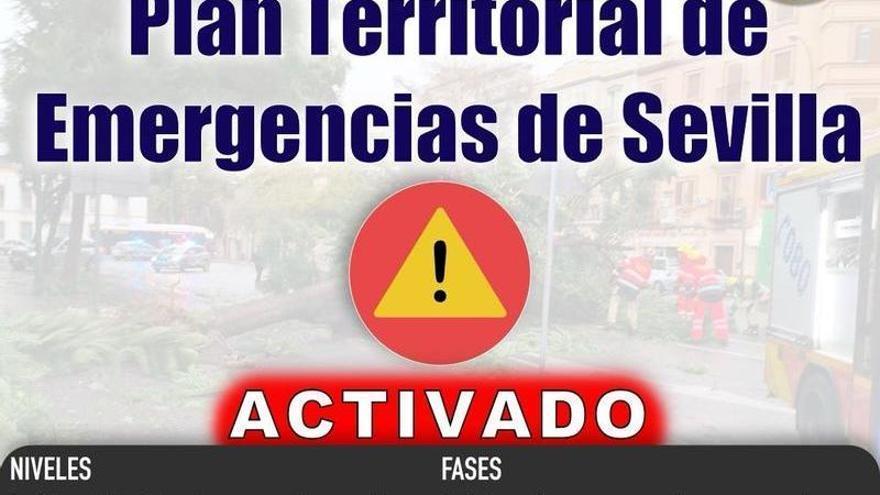 Sevilla activa su Plan Territorial de Emergencias por las alertas de la Aemet este jueves