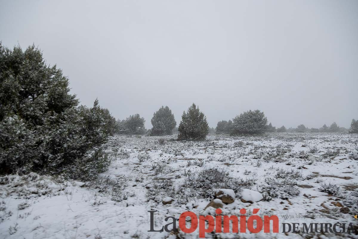 Nieve en el Noroeste