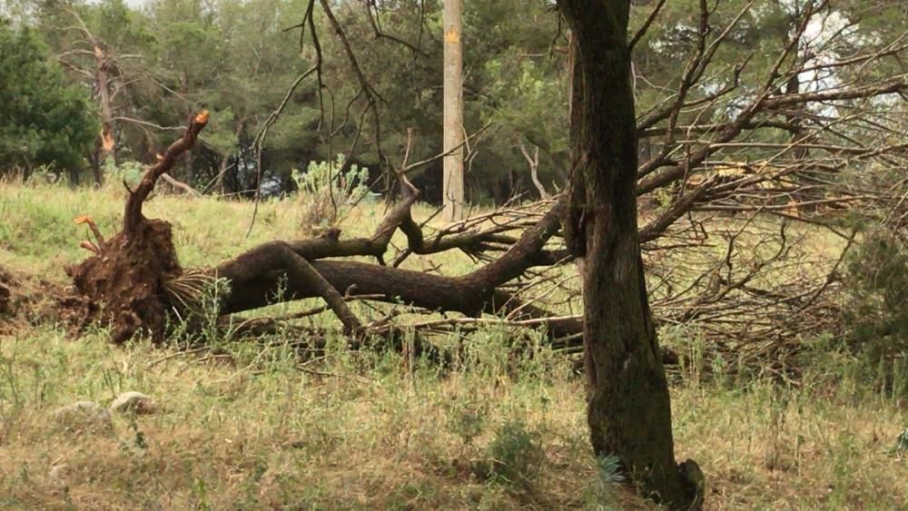 Una forta tempesta de calamarsa i vent afecta part de l'Alt Empordà