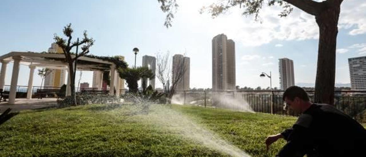 El conserje de una urbanización de la Vía Parque de Benidorm riega un jardín con agua potable.