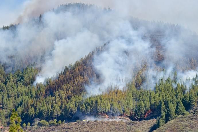 10-08-2019 ARTENARA. Incendio en la cumbre de Gran Canaria  | 10/08/2019 | Fotógrafo: Andrés Cruz