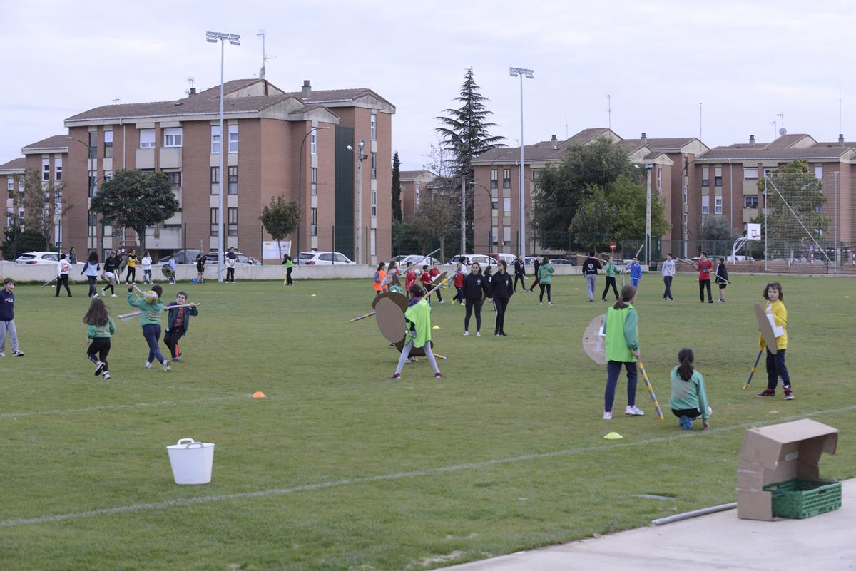 Aspecto general del campo de fútbol La Rosaleda durante la actividad.