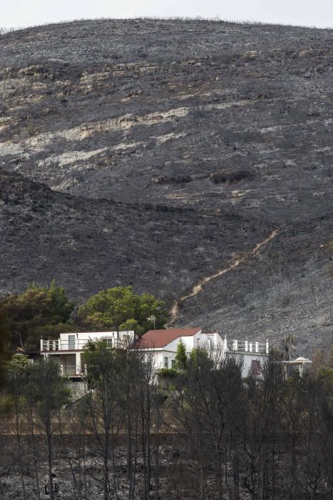 Incendio forestal en Carcaixent