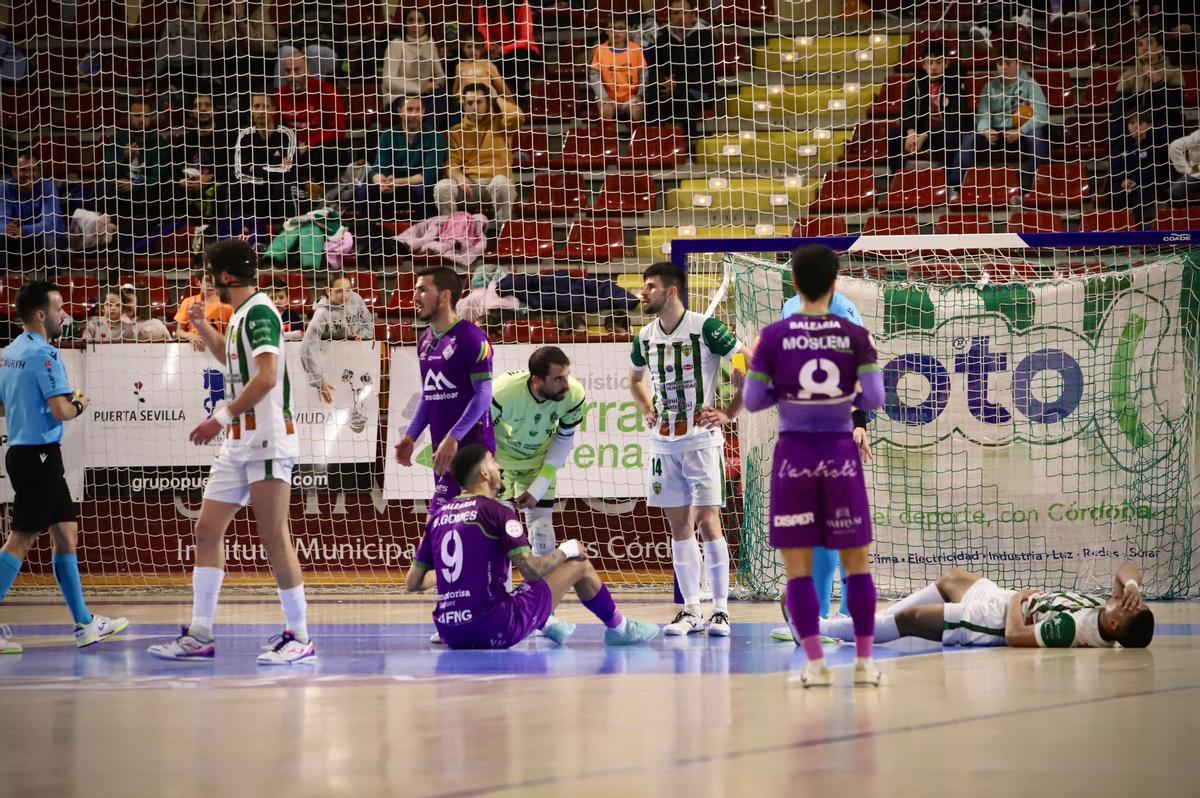 Córdoba Futsal Patrimonio-Mallorca Palma: el partido en imágenes Córdoba Futsal Patrimonio-Mallorca Palma: el partido en imágenes