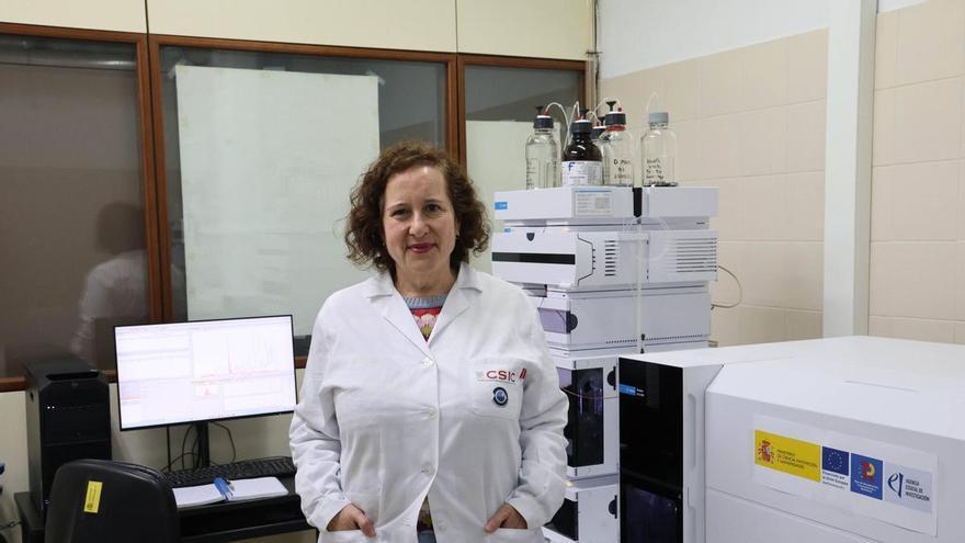 Las rías gallegas ayudan a confeccionar una guía internacional sobre toxinas marinas: «Tenemos uno de los mejores sistemas de control del mundo»