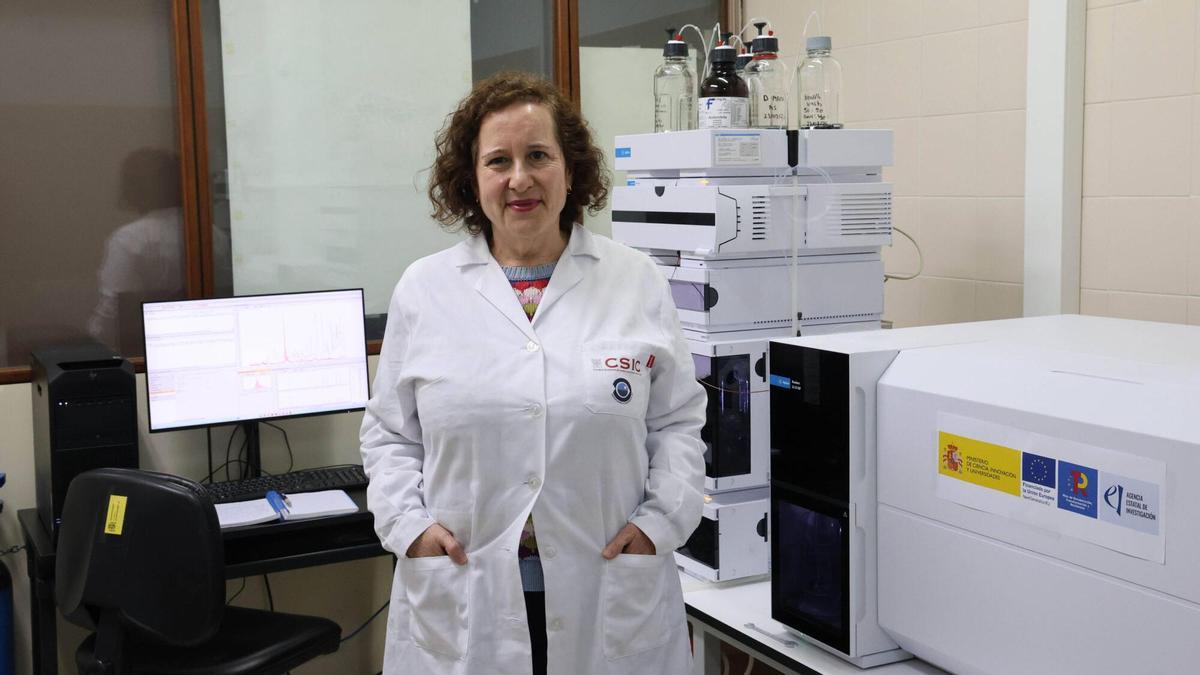 Las rías gallegas ayudan a confeccionar una guía internacional sobre toxinas marinas: «Tenemos uno de los mejores sistemas de control del mundo»