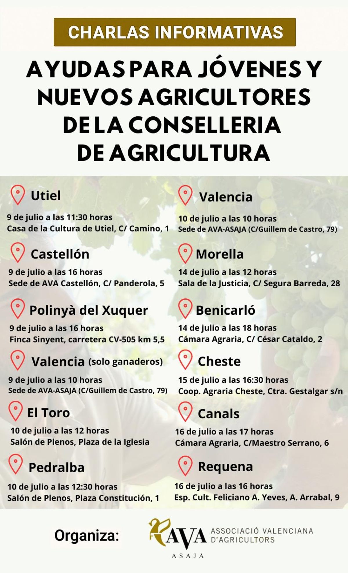 Ayudas al relevo generacional.