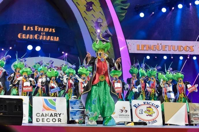 Carnaval de Las Palmas 2019 | Concurso de Murgas, primera fase - La  Provincia