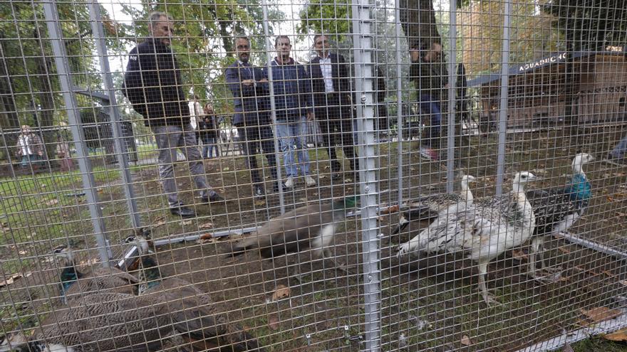 Los siete nuevos inquilinos del Campo San Francisco se adaptan a su casa