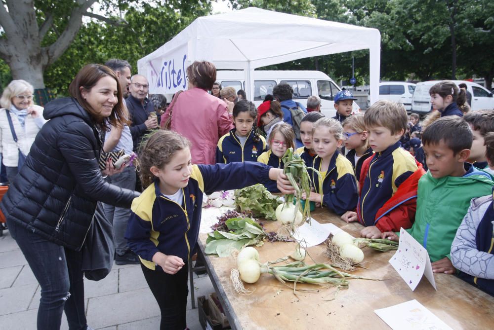 Els infants venen verdures al Mercat del Lleó