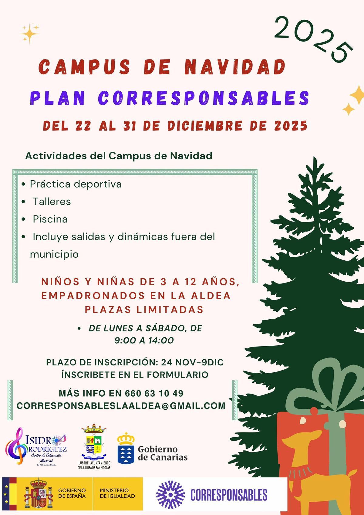 Cartel Campus Navidad