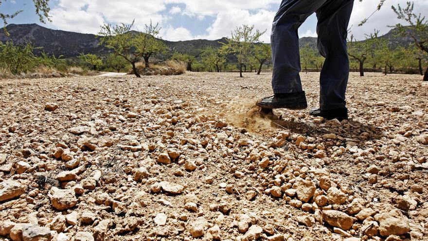 El abril más cálido y seco de los últimos 62 años