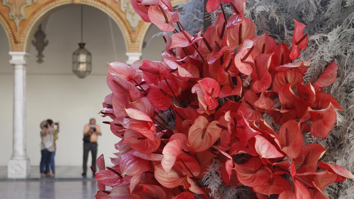 Obra ganadora del festival de Flora 2021, ubicada en la Diputación de Córdoba.