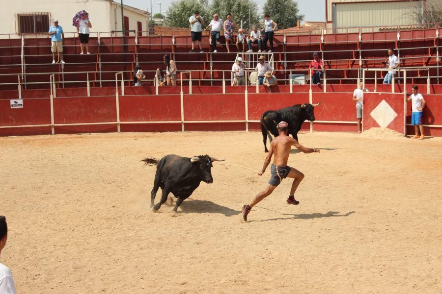 Fiestas en Zamora: Villamor de los Escuderos