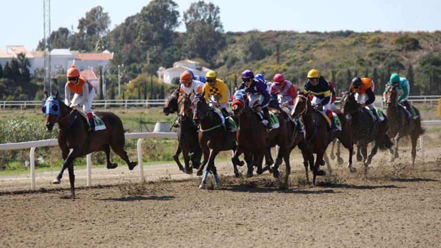 Imagen de archivo de una carrera en el hipódromo de Mijas.