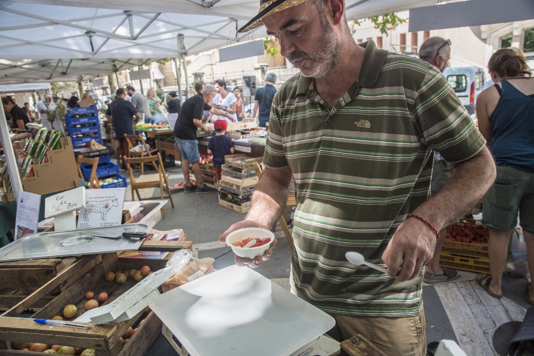 La sisena edició de la Festa del Tomàquet, en imatges